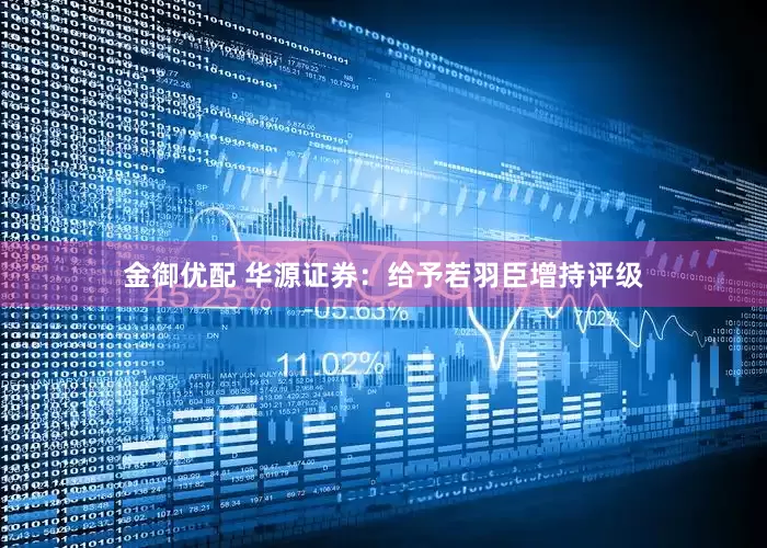 金御优配 华源证券：给予若羽臣增持评级