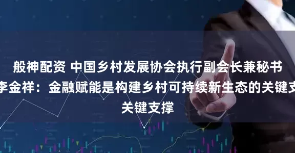 般神配资 中国乡村发展协会执行副会长兼秘书长李金祥：金融赋能是构建乡村可持续新生态的关键支撑
