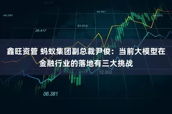 鑫旺资管 蚂蚁集团副总裁尹俊：当前大模型在金融行业的落地有三大挑战